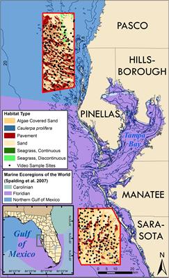 Shallow-Water Coral Communities Support the Separation of Marine Ecoregions on the West-Central Florida Gulf Coast